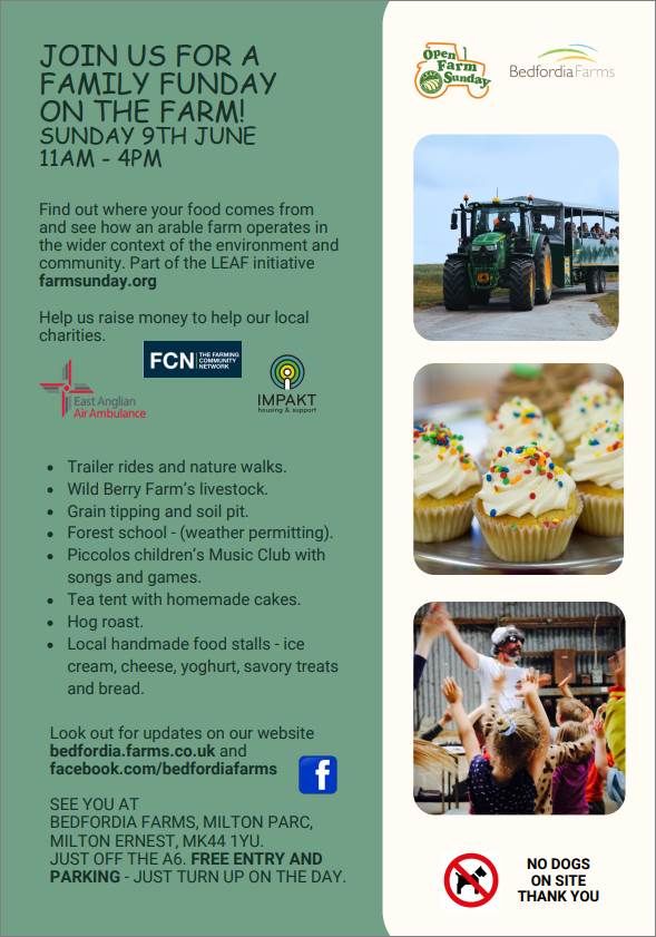 bedfordia_farms_funday.jpg