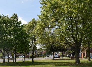 Explore Oakley - Newsletter