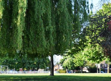 Explore Oakley - The Green