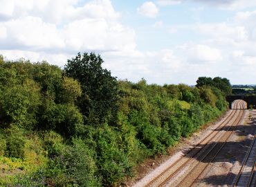 Explore Oakley - Train Crashes