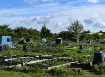 Explore Oakley - Allotments